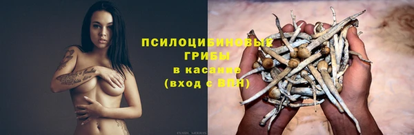 спайс Алексеевка