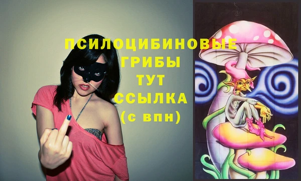 марихуана Новозыбков